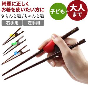 イシダ 通販イシダ 矯正箸 好評 小学生 子供 大人用 右利き用 左利き用 ちゃんと箸 こども用 約 16cm 18cm きちんと箸 おとな用 21cm 23cm 矯正 箸 大人 しつけ