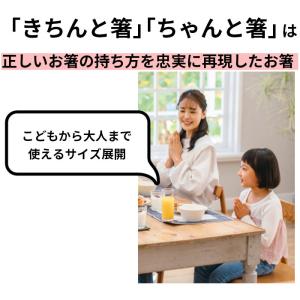 イシダ 通販イシダ 矯正箸 好評 小学生 子供...の詳細画像1