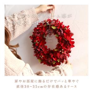 リース 造花 通販 Lサイズ ナチュラルリース...の詳細画像2