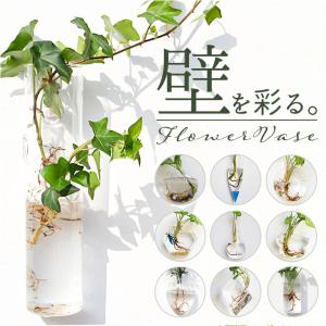 グラスワークス / ナルミ ) フローラ 花瓶 フラワーベース 20cm ガラス