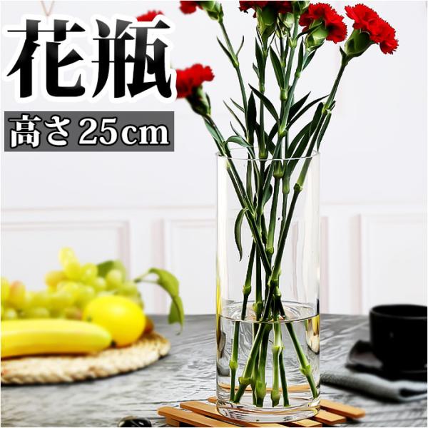 フラワーベース 花瓶 ガラス 通販 花びん かびん 一輪挿し 生け花 花器 大きい 大きめ 円柱 ガ...