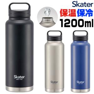 スケーター お弁当箱 2段 600ml 抗菌 ふわっと弁当箱 はぴだんぶい
