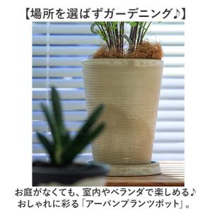 植木鉢 おしゃれ 受け皿付き 通販 鉢カバー ...の詳細画像1
