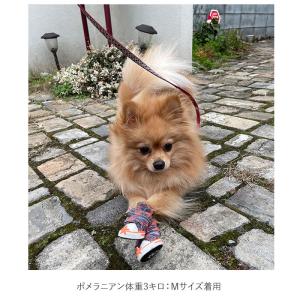 犬 くつ 通販 靴 ドッグ いぬ シューズ ス...の詳細画像2