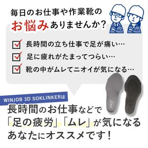 アシックス インソール 好評 中敷き メンズ ...の詳細画像2