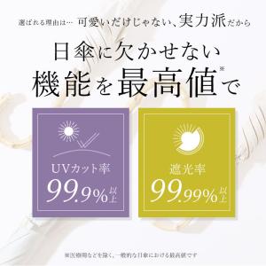 ビコーズ 通販ビコーズ 傘 because 日...の詳細画像3