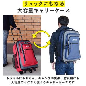 キャリーバッグ 通販キャリーバッグ 機内持ち込...の詳細画像1