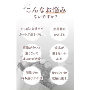 ショッピングカート ココロ 通販 保冷ショッピ...の詳細画像5