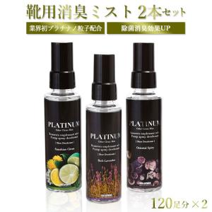 消臭スプレー 靴 2本セット 通販 オドクリーン プラチナミスト 100ml ×2 消臭剤 靴用 除菌 シューケア スプレー ミスト 清涼感 ノンガスタイプ