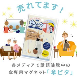 傘 通販傘 マグネット 車 固定 好評 カー用...の詳細画像1