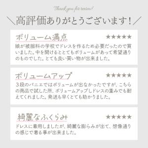 パニエ 通販パニエ 大人 ワイヤーパニエ ワイ...の詳細画像2