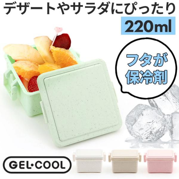 1段 弁当箱 220ml 保冷 通販 お弁当箱 ランチボックス 一段 １段 GEL-COOL ジェル...