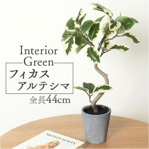大型 フェイクグリーン 人工観葉植物 人工植物 鮮やかな色 本物の