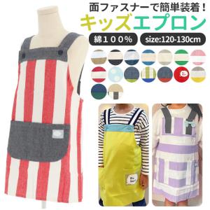 送料無料 ポケットモンスター エプロン 110cm 44 40cm ポリエステル100 036 012 キッズタウン ヤフーショップ 通販 Yahoo ショッピング