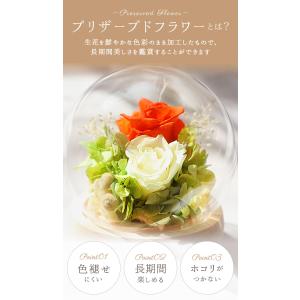 プリザーブドフラワー ガラスドーム 通販 フラ...の詳細画像2