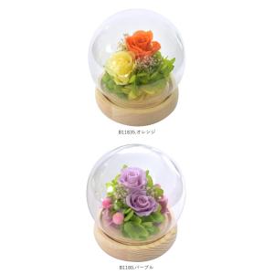 プリザーブドフラワー ガラスドーム 通販 フラ...の詳細画像5