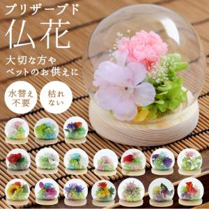 お供え 通販お供え プリザーブドフラワー ガラスドーム