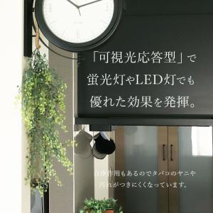 光触媒 フェイクグリーン 通販 観葉植物 フェ...の詳細画像3
