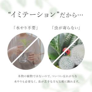 光触媒 フェイクグリーン 通販 観葉植物 フェ...の詳細画像4
