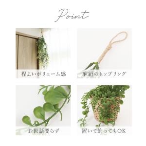 光触媒 フェイクグリーン 通販 観葉植物 フェ...の詳細画像5