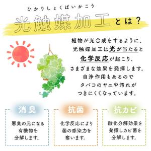 光触媒 通販光触媒 フェイクグリーン 壁掛け ...の詳細画像4