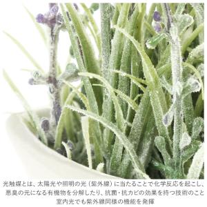 光触媒 通販光触媒 花 造花 おしゃれ フェイ...の詳細画像4