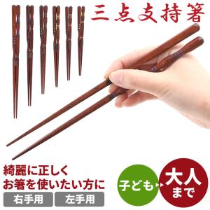 イシダ 三点支持箸 はし上手 子供 右利き用 16 5cm 矯正箸 矯正ばし しつけ箸 右きき キッズ 持ち方 練習 お箸 箸 はし 送料無料 ゆうパケット限定 Mt0 001 Isd Se マガザン 通販 Yahoo ショッピング