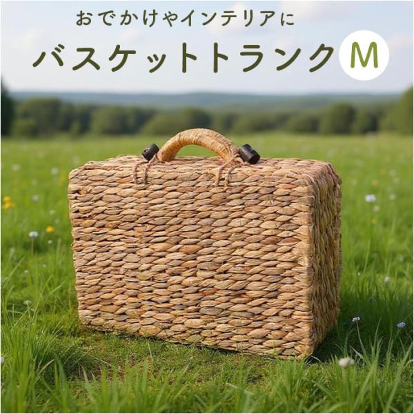 バスケット ピクニック 通販 Ｍサイズ カゴバスケット ウォーターヒヤシンスバスケット ピクニックバ...