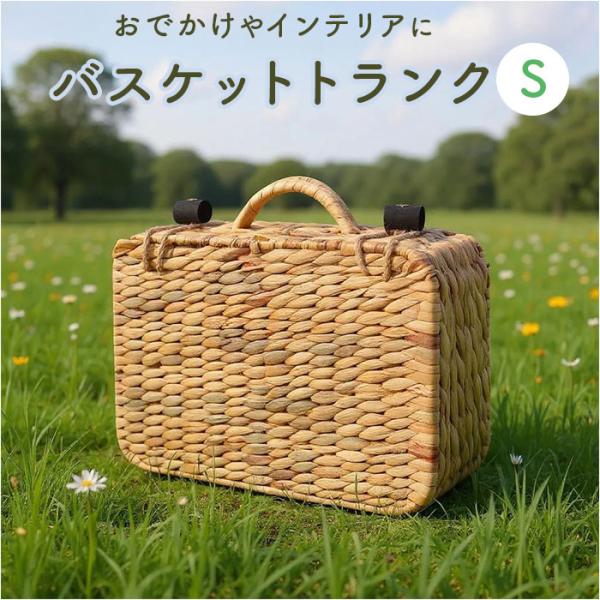 バスケット ピクニック 通販 Ｓサイズ ピクニックバスケット カゴバスケット カゴバッグ ウォーター...