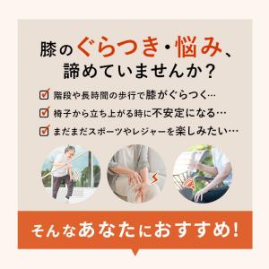 タナック タフシロン 人工筋肉膝サポーター ネ...の詳細画像1