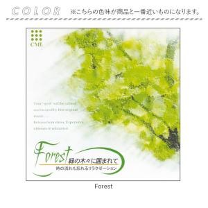 メディテーション CD 通販 イメージングメデ...の詳細画像1