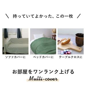 キーストーン KEY STONE マルチカバー...の詳細画像1
