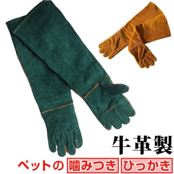 ペット 通販ペット グローブ 手袋 ペット用グローブ 噛みつき防止 噛みつき 厚手 しつけ 躾 牛革...