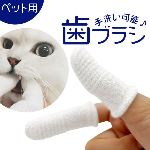 ペット 歯ブラシ 通販 ペット歯ブラシ 歯磨き 歯ぶらし 指サック 指歯ブラシ ペット用指歯ブラシ ...