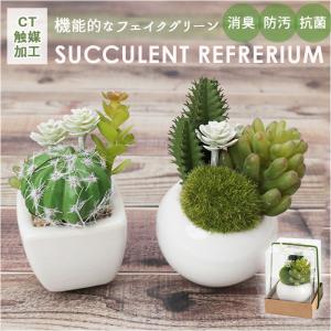 多肉植物 サボテン フェイク 通販 おしゃれ 小さい CT触媒 消臭アーティフィシャルグリーン サキュレントリフレリウム インテリアグリーン 寄せ植え ポット