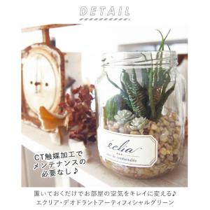 観葉植物 通販観葉植物 フェイクグリーン おし...の詳細画像1