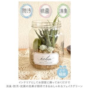 観葉植物 通販観葉植物 フェイクグリーン おし...の詳細画像2