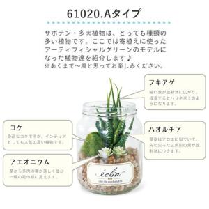 観葉植物 通販観葉植物 フェイクグリーン おし...の詳細画像5