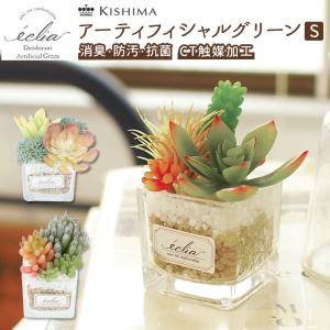 多肉植物 観葉植物 フェイク s 通販 おしゃれ...の商品画像