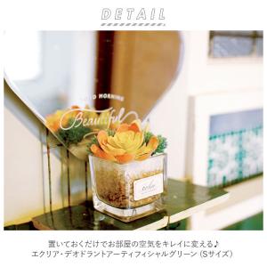 多肉植物 観葉植物 フェイク s 通販 おしゃ...の詳細画像1