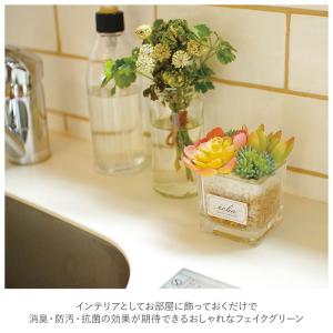 多肉植物 観葉植物 フェイク s 通販 おしゃ...の詳細画像2