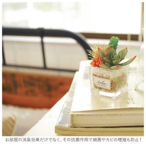 多肉植物 観葉植物 フェイク s 通販 おしゃ...の詳細画像3