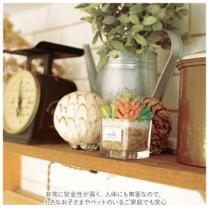 多肉植物 観葉植物 フェイク s 通販 おしゃ...の詳細画像4