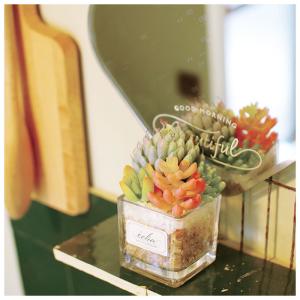 多肉植物 観葉植物 フェイク s 通販 おしゃ...の詳細画像5