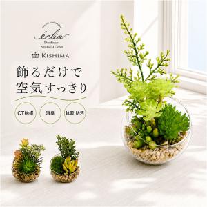 CT触媒 フェイクグリーン 通販 キシマ Sサイ...の商品画像