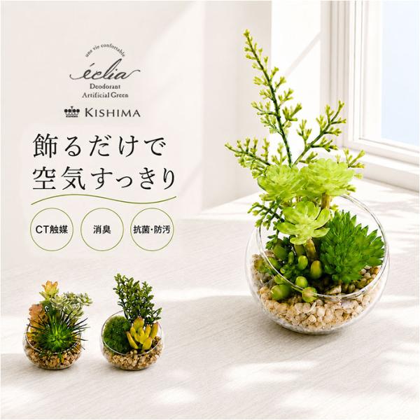 CT触媒 フェイクグリーン 通販 キシマ Sサイズ アーティフィシャルグリーン 観葉植物 フェイク ...