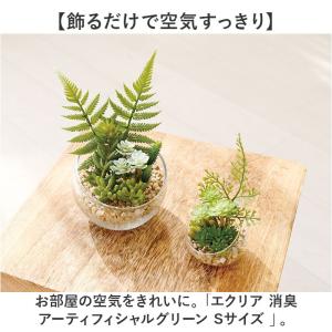 CT触媒 フェイクグリーン 通販 キシマ Sサ...の詳細画像1