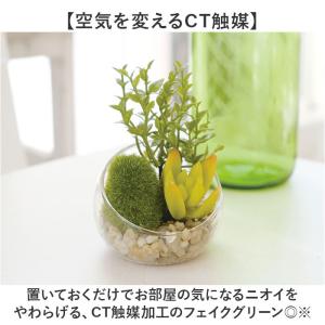 CT触媒 フェイクグリーン 通販 キシマ Sサ...の詳細画像2