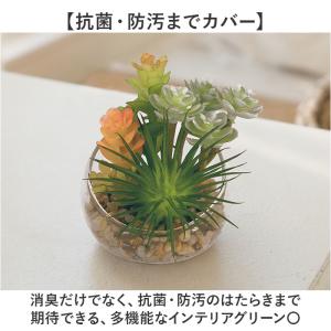 CT触媒 フェイクグリーン 通販 キシマ Sサ...の詳細画像3