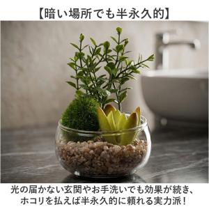 CT触媒 フェイクグリーン 通販 キシマ Sサ...の詳細画像4